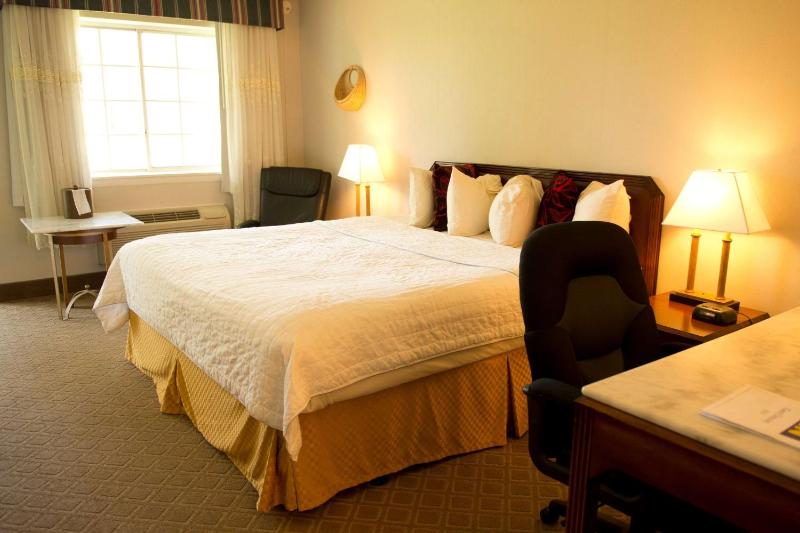 King Room - Non-Smoking image 4