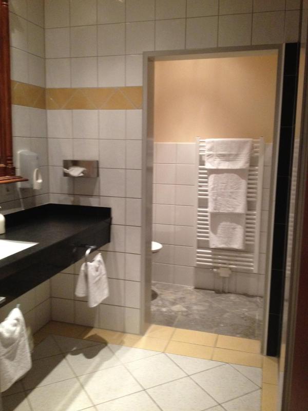 Large Single Room image 3