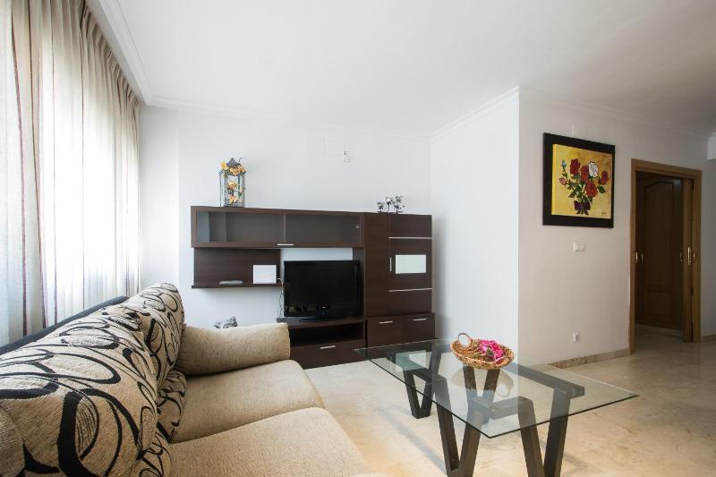 Alicante Centro - image 17