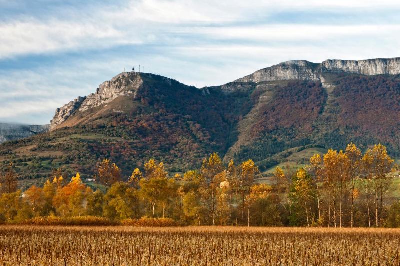 2-Bedroom Apartment with Street View image 1