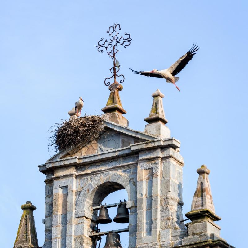 Two-Bedroom Apartment with Plaza View image 3