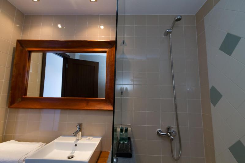 One-Bedroom Apartment image 4