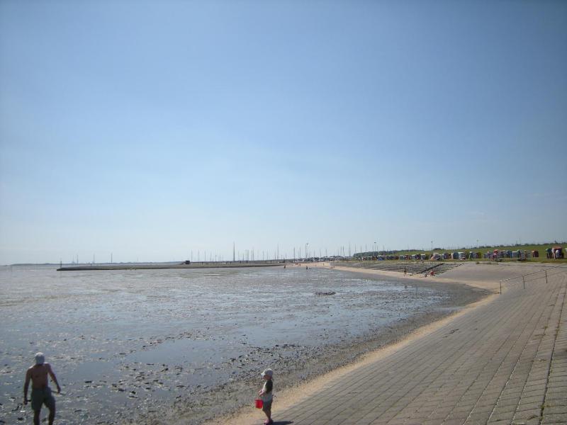 Strandkorb - image 10