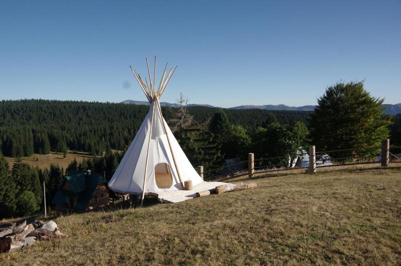 Tent image 2