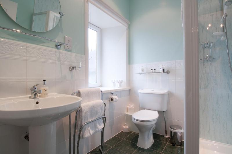 Deluxe King Room image 2