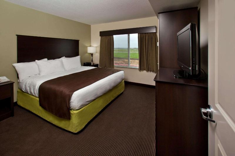One Bedroom King Suite - Non Smoking  image 4