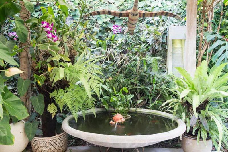 Wonderland Villa - Seminyak - image 2