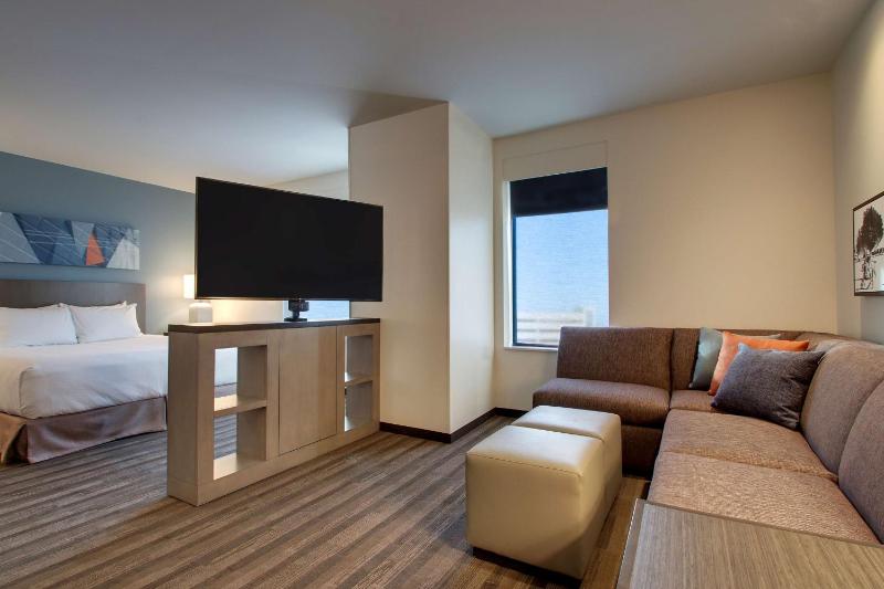 King Studio Suite with Kitchen and Sofa Bed image 3