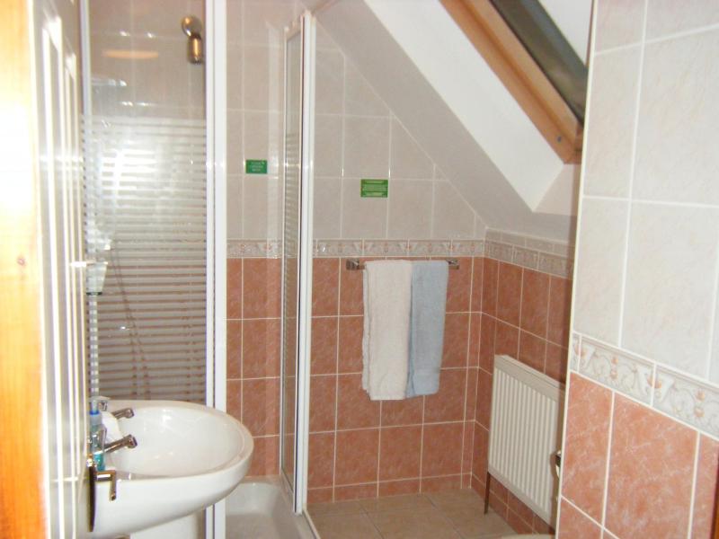 Standard Double Room image 4