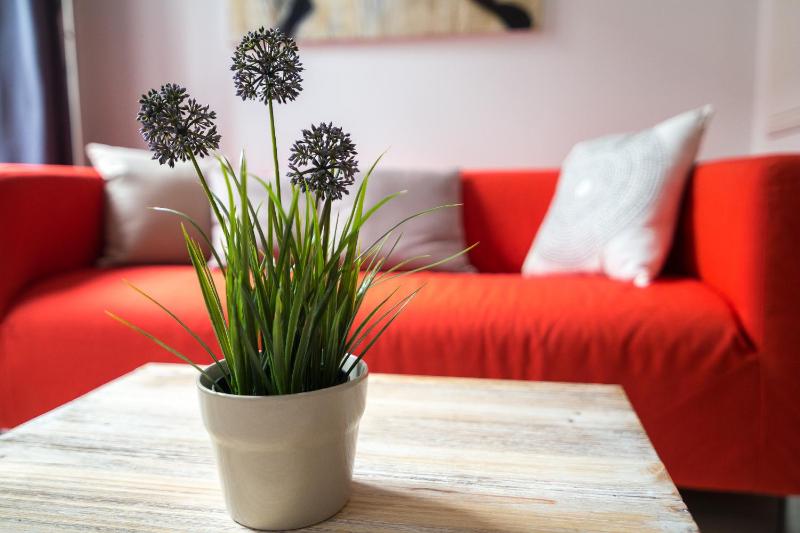 Studio Apartment image 4