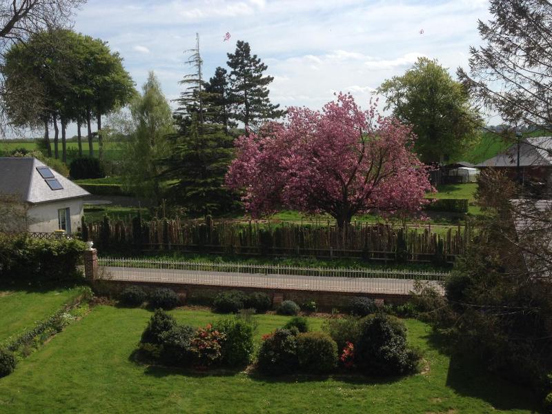 Double Room with Garden View image 4