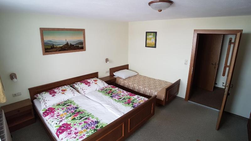 One-Bedroom Apartment image 4