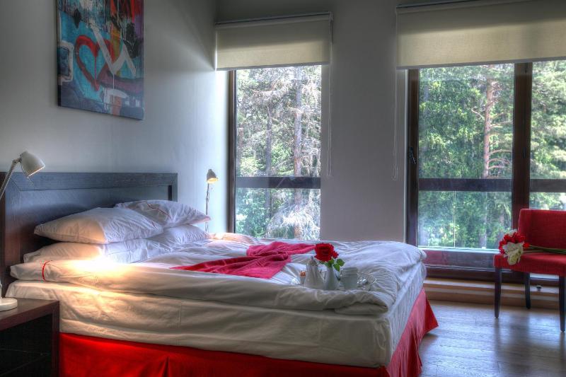 Superior Suite image 4