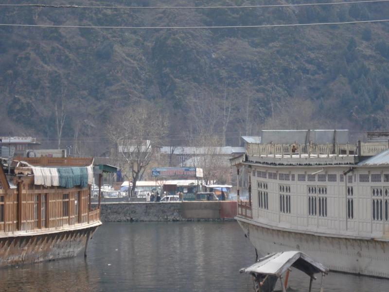 Houseboat Dogstar - image 3