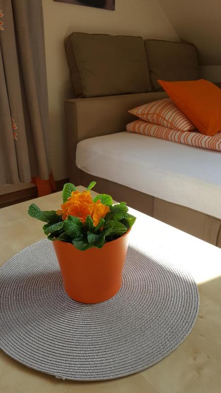 Apartment - Split Level image 4