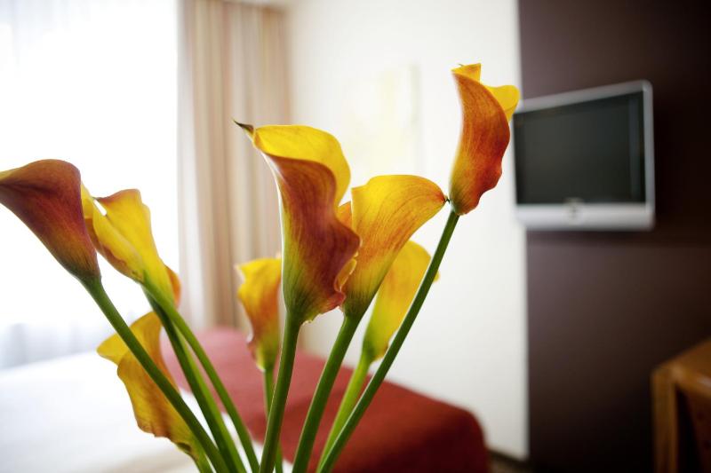 Small Double Room image 4