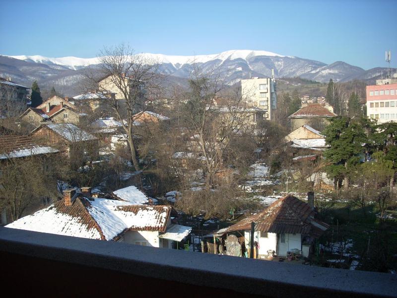 Studio with Balcony image 3