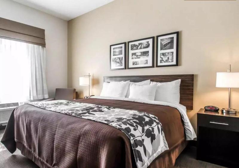 Standard King Room image 4