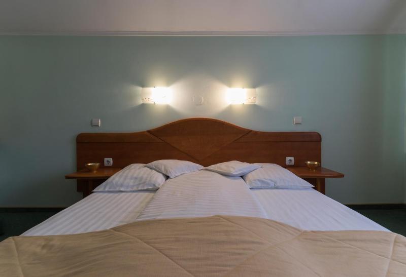 One-Bedroom Apartment image 3