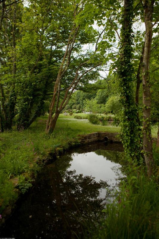 Rose in Vale Country House Hotel - image 11