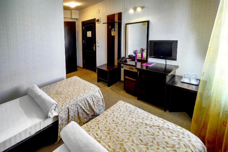 Standard Twin Room image 4