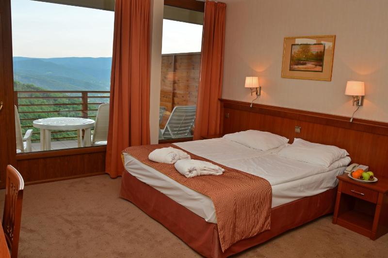 Superior Double or Twin Room with Forest View image 3
