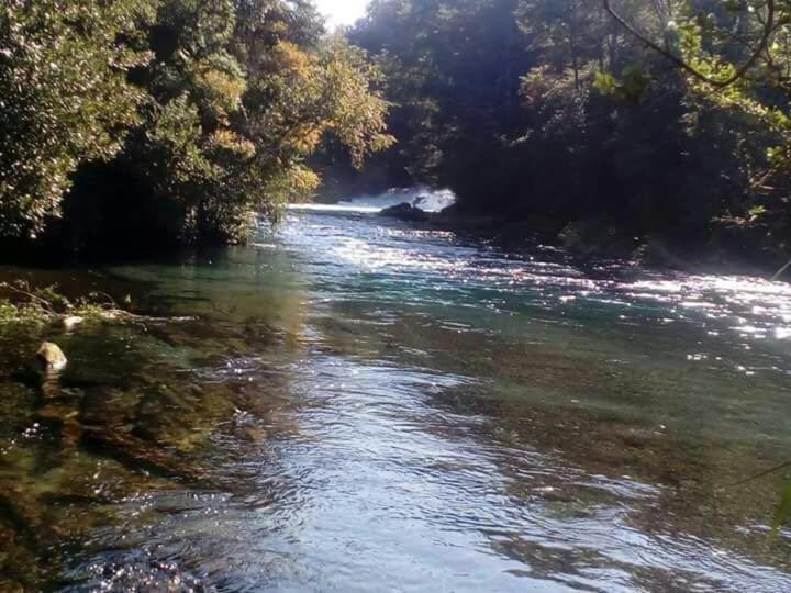 Cabañas Los Canelos Pucon Hermosa Granja de 20 hectaréas a orillas del Río Liucura - image 40
