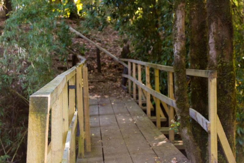 Cabañas Los Canelos Pucon Hermosa Granja de 20 hectaréas a orillas del Río Liucura - image 4