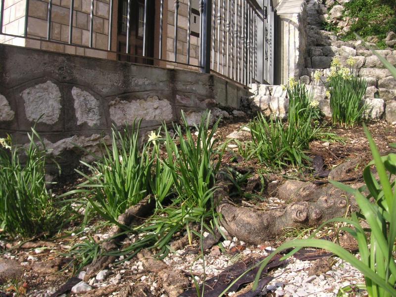 House on the beach - image 9