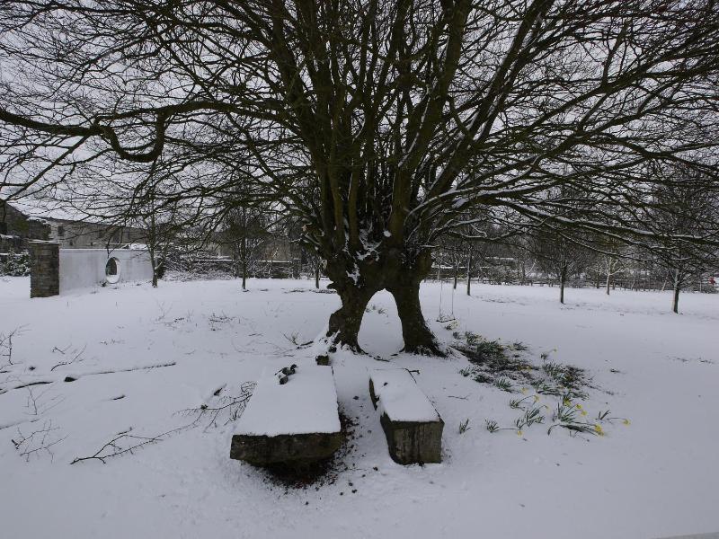 Deluxe Suite image 3