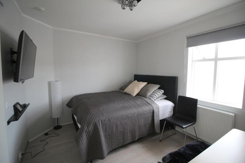One-Bedroom Apartment image 3