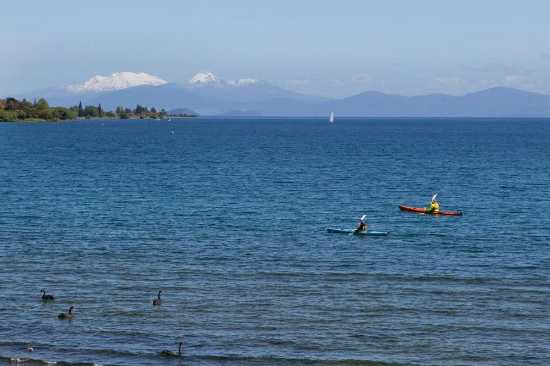 The Cove- On The Lake - image 14