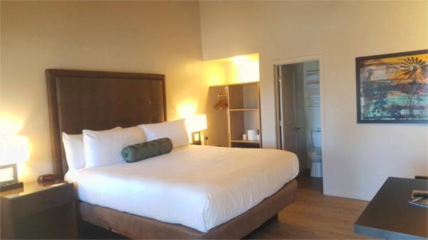Deluxe King Room image 2