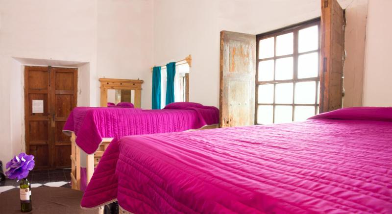 Casa Lupita Hostel - image 3