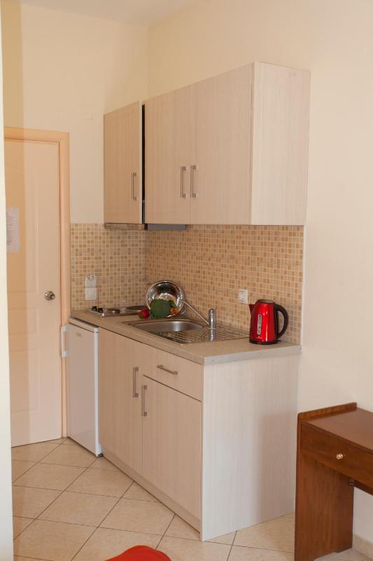 Studio (2 Adults) with Garden View image 3