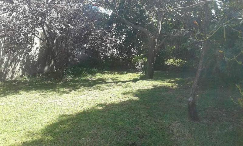 Casa de Silvia - image 12