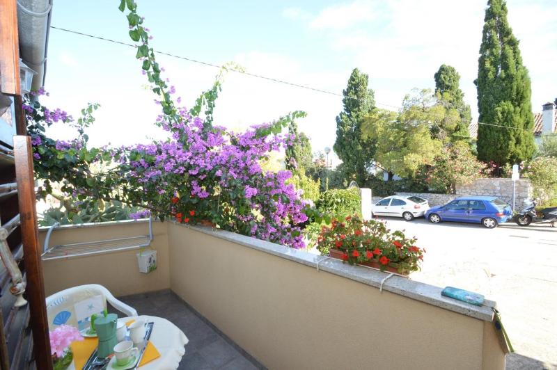 House Orhideja - image 28