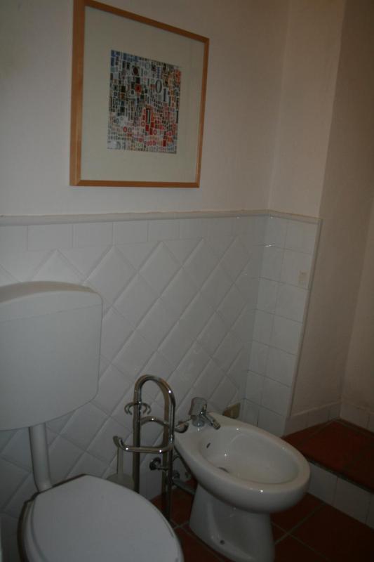 Luisa in Palazzo Bianchi - image 50