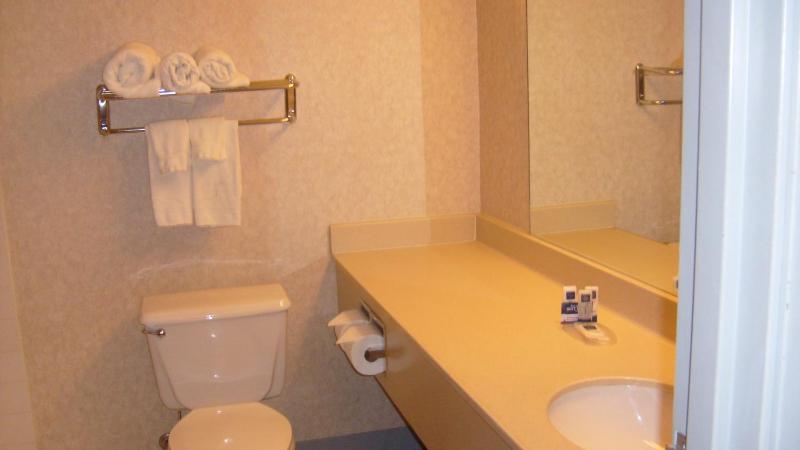 Deluxe King Studio Suite - Non-Smoking image 3