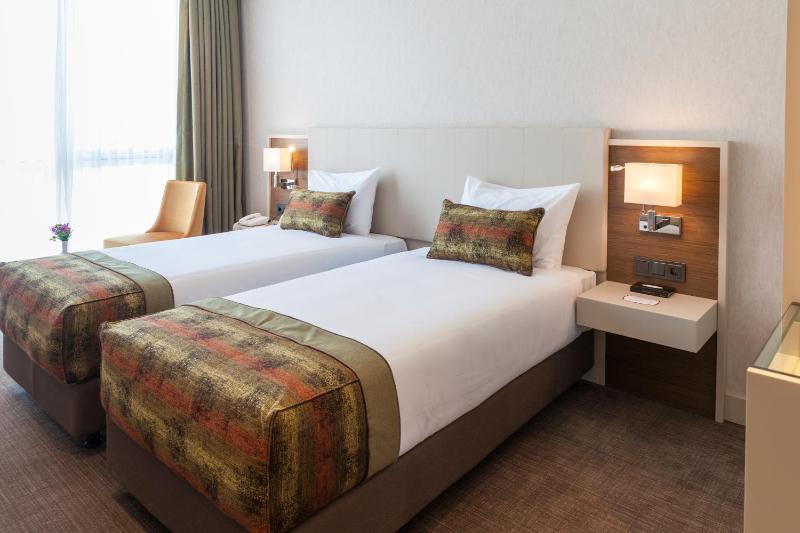 Standard Twin Room image 3