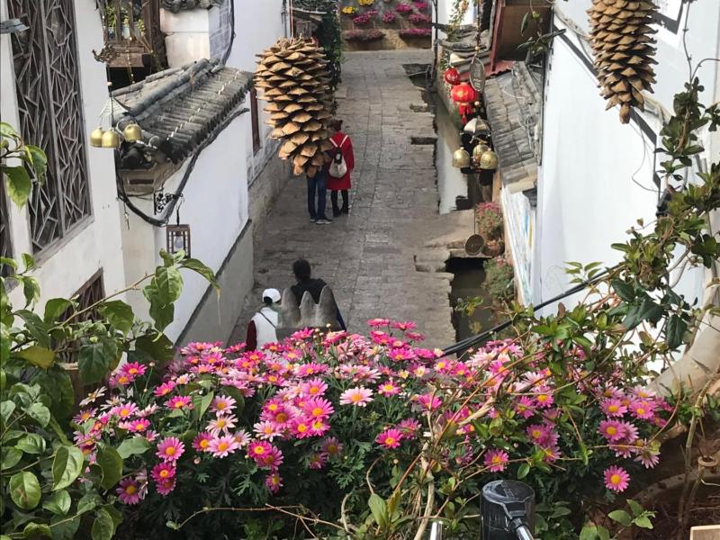 Meiliju Snow view Inn Lijiang Ancient Town - image 2