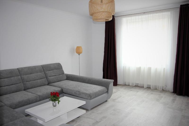 Apartament Centru Istoric Radu - image 6