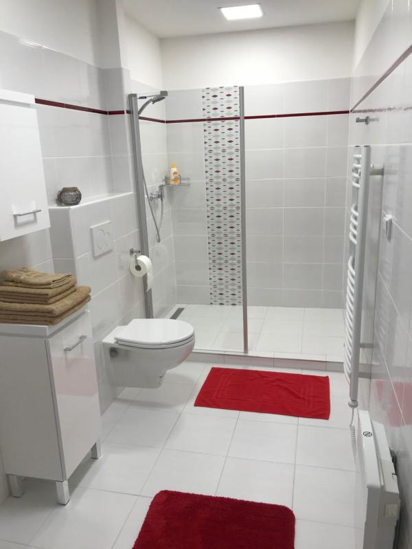 Superior Apartment image 3