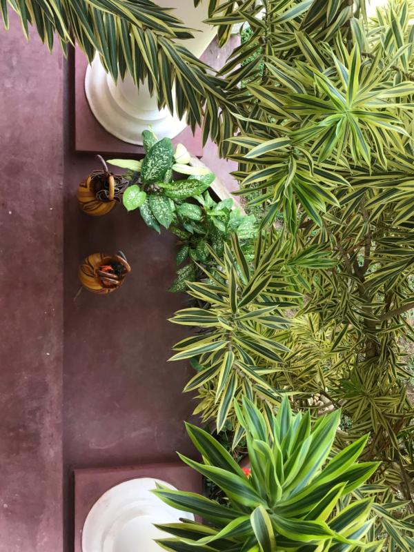 Hotel La Felicita - image 6
