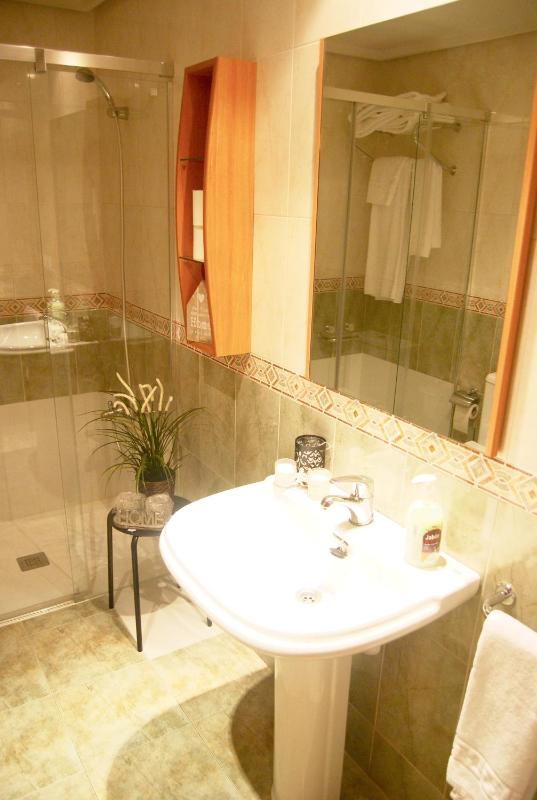 One-Bedroom Apartment image 2