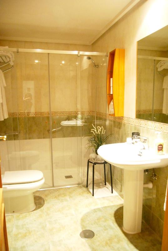 One-Bedroom Apartment image 4