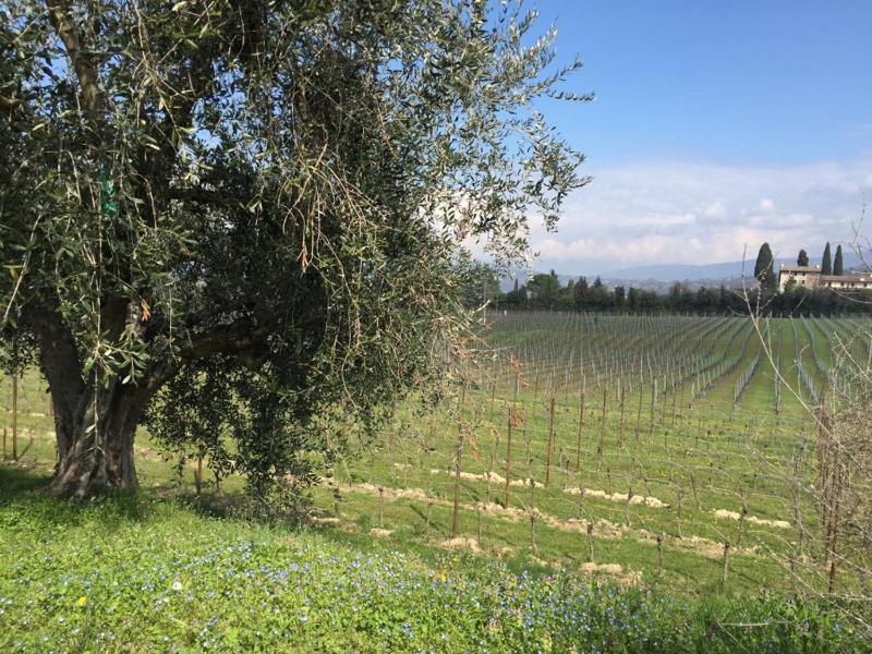 Tenuta La Cà - image 39