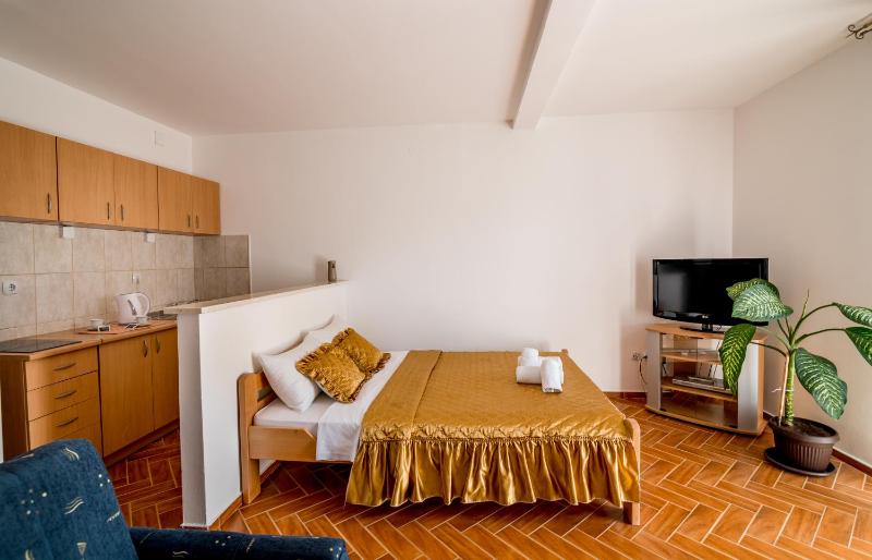 Studio Apartment image 3