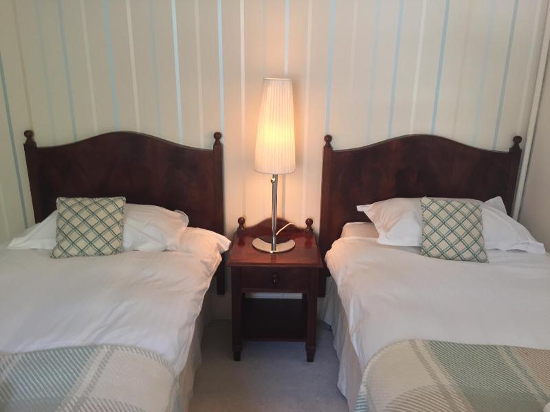 Large Twin Room image 4