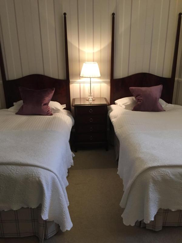 Standard Twin Room image 4